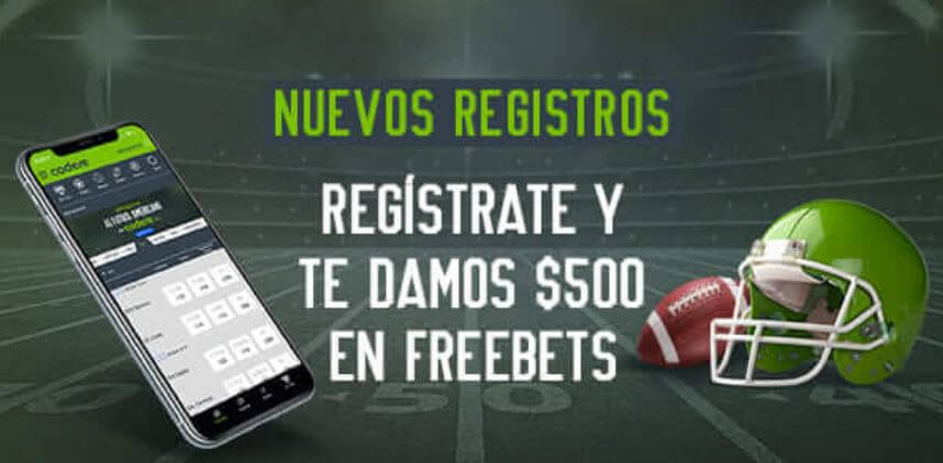 Bono registro